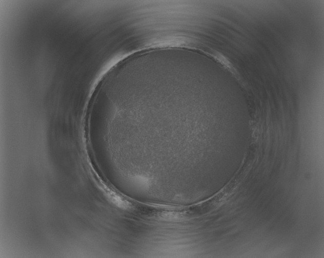 X0000056331086200509021623