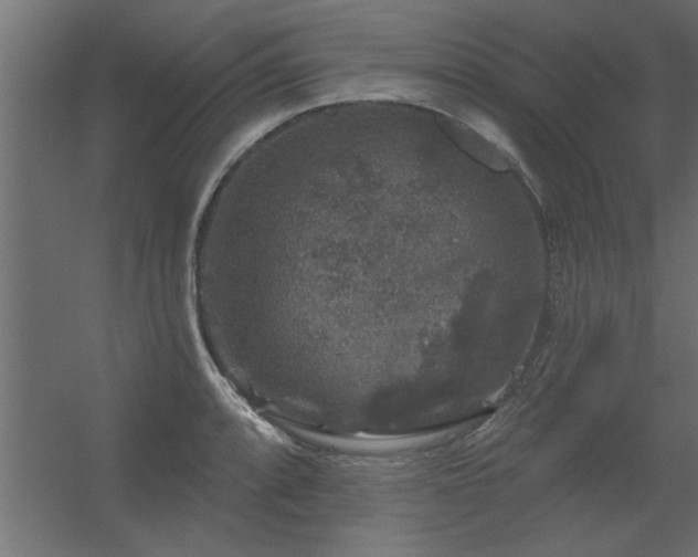 X0000056331088200509021623