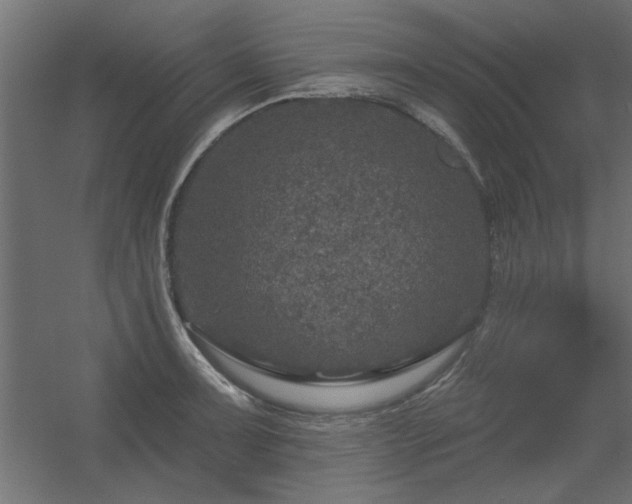 X0000056331091200509021623