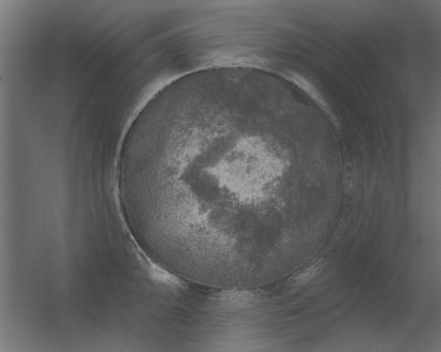 X0000056331094200509021623