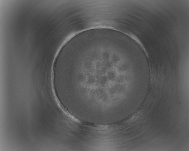 X0000056331096200509021623