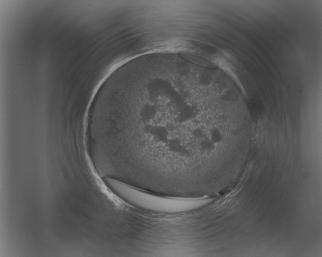 X0000056331099200509021623