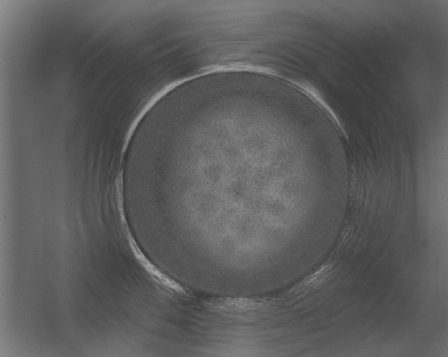 X0000056331100200509021623