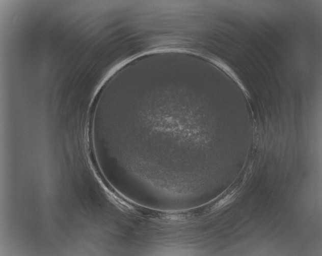 X0000056331101200509021623