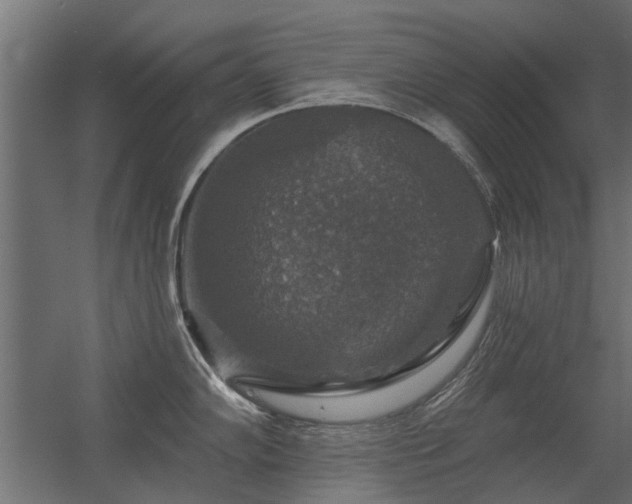 X0000056331102200509021623