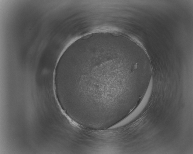 X0000056331103200509021623