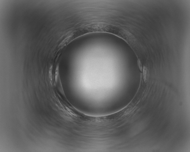 X0000056331107200509021622