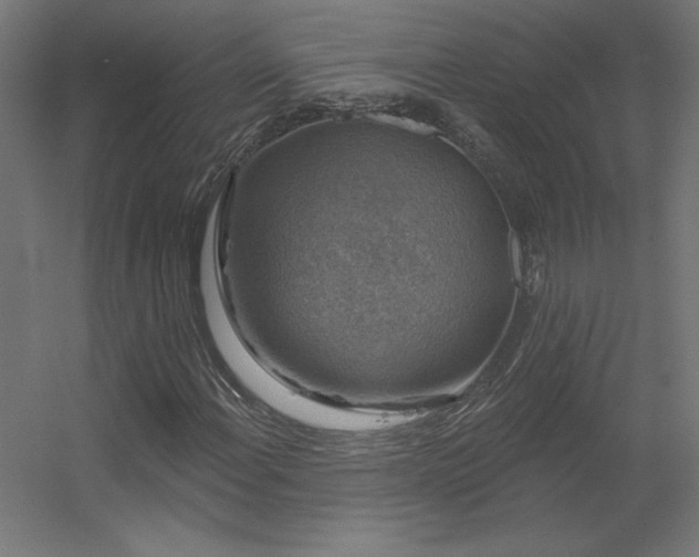 X0000056331108200509021622