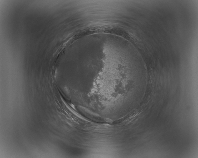 X0000056331109200509021622