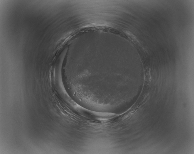 X0000056331110200509021622