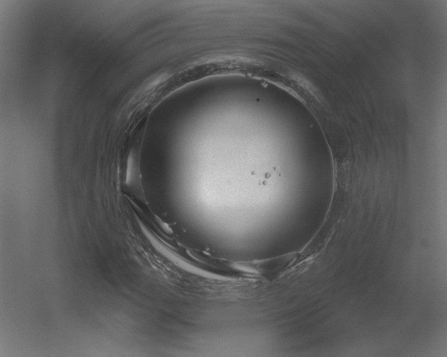 X0000056331111200509021622