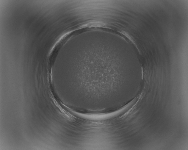 X0000056331115200509021622