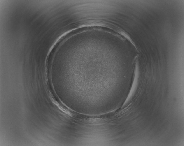 X0000056331116200509021622