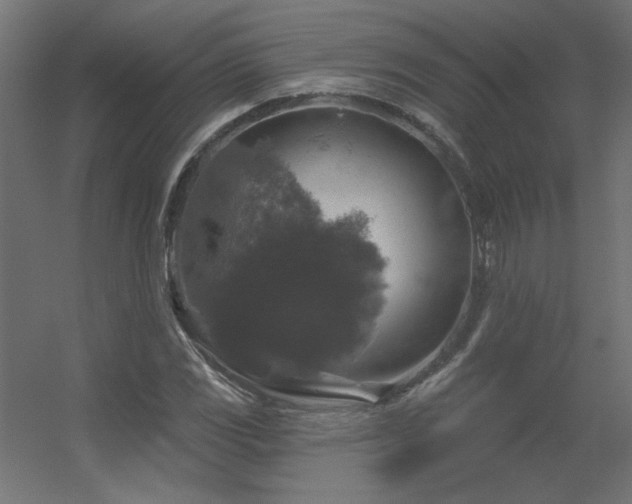 X0000056331117200509021622