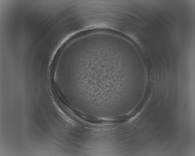 X0000056331118200509021622