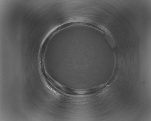 X0000056331120200509021622