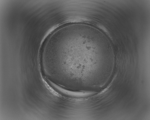 X0000056331122200509021622