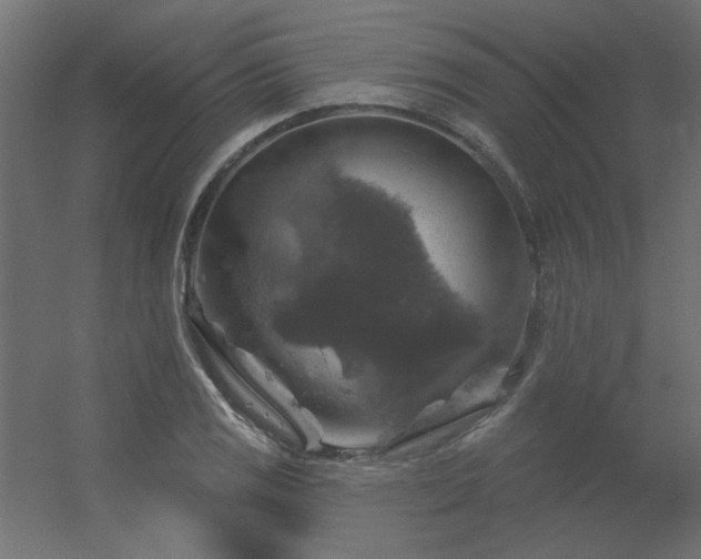 X0000056331125200509021622