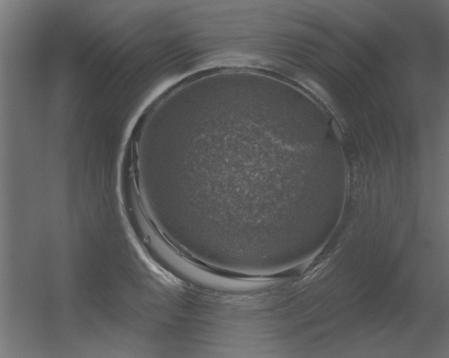 X0000056331128200509021622