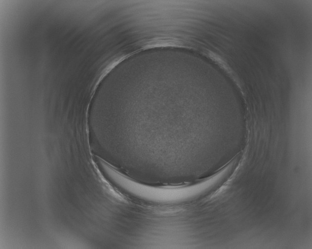 X0000056331129200509021622