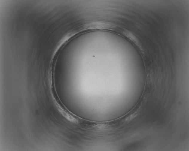 X0000056331130200509021622