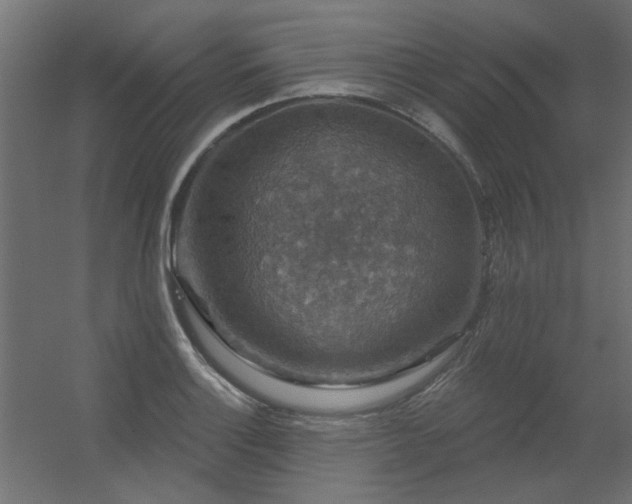 X0000056331132200509021622