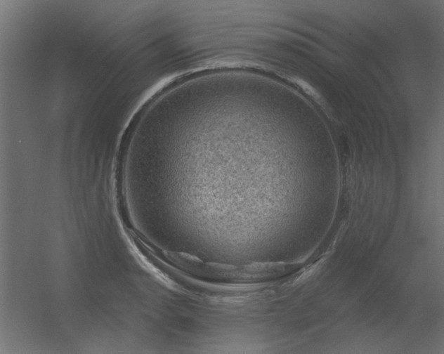 X0000056331134200509021622