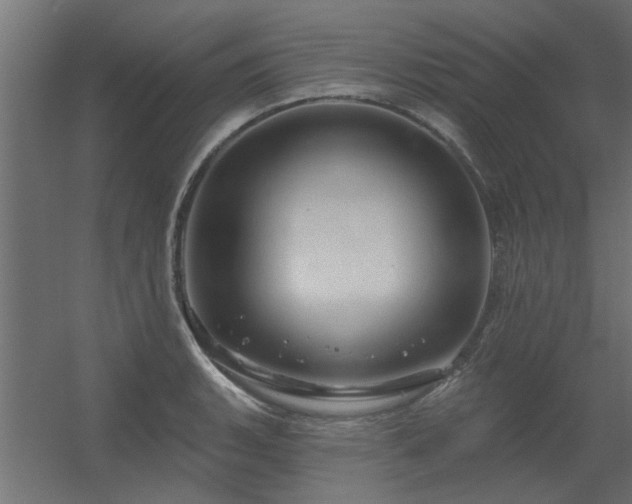 X0000056331135200509021622