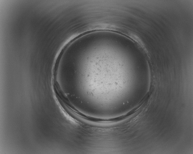 X0000056331136200509021622