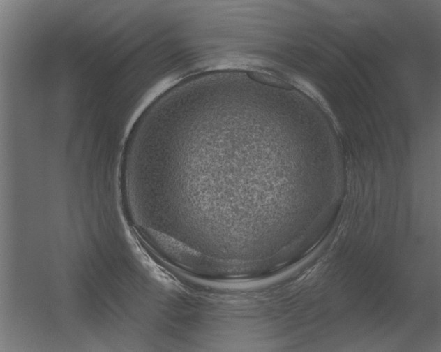 X0000056331138200509021622