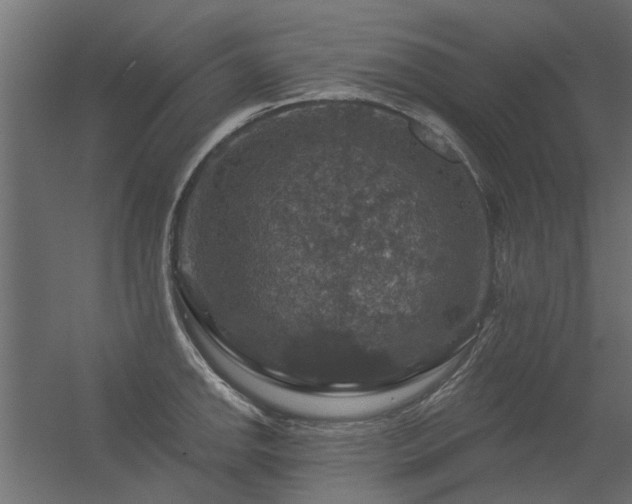 X0000056331142200509021622