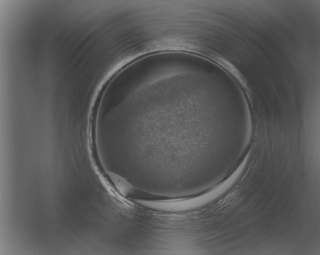 X0000056331144200509021622