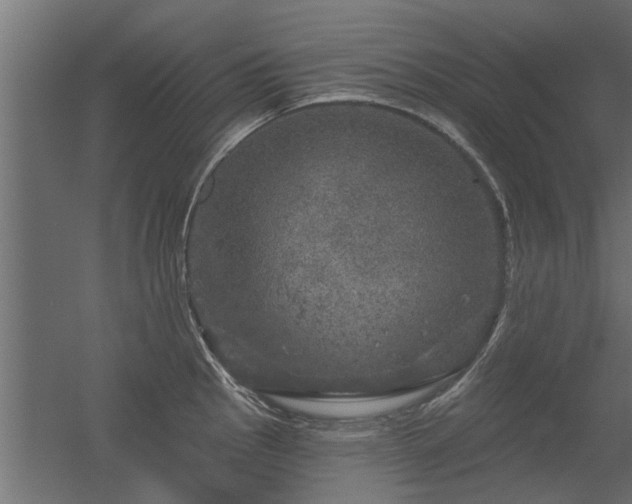 X0000056331145200509021622