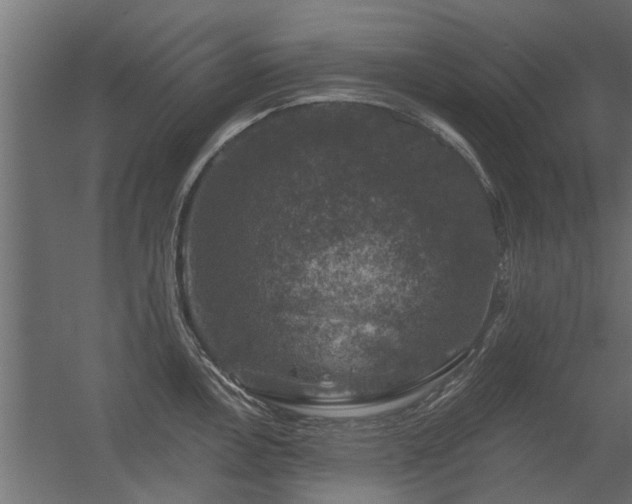 X0000056331146200509021622