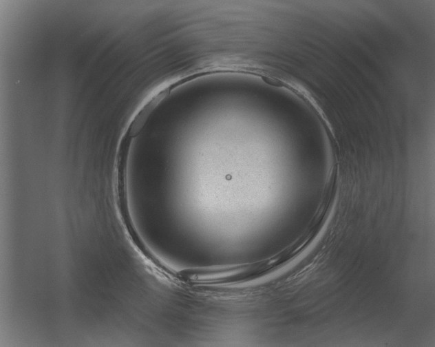 X0000056331147200509021623