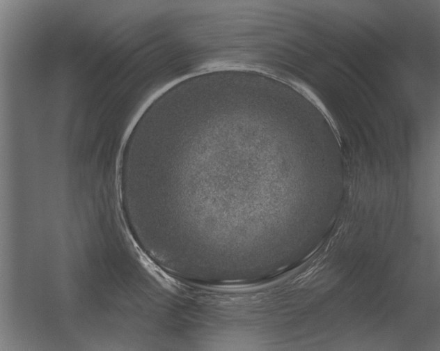 X0000056331148200509021623