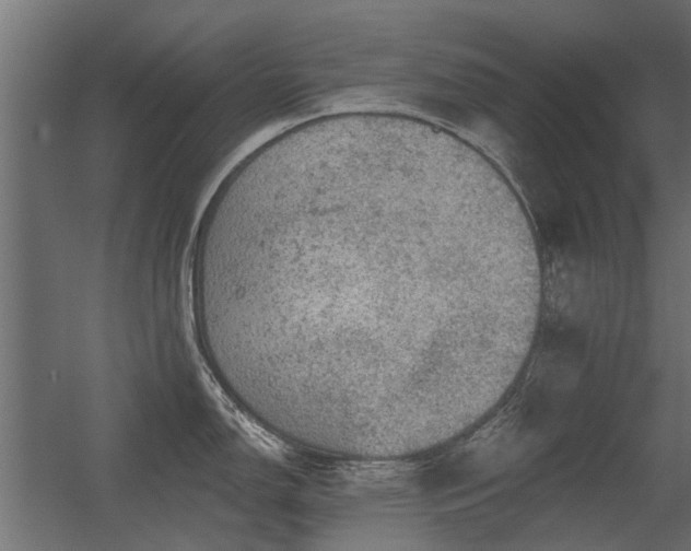 X0000056331150200509021623