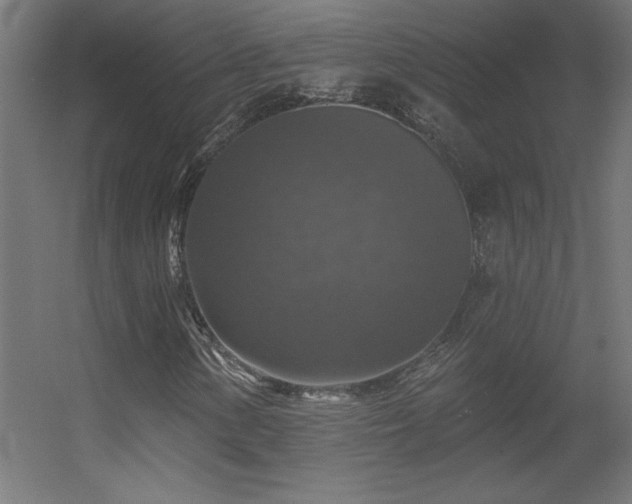 X0000056331154200509021622