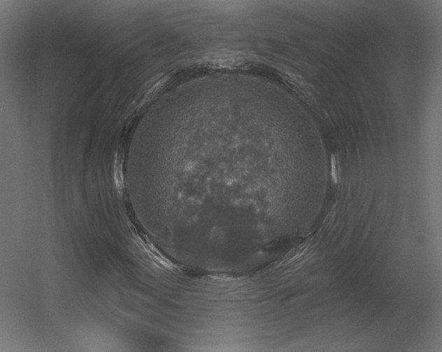 X0000056331155200509021622