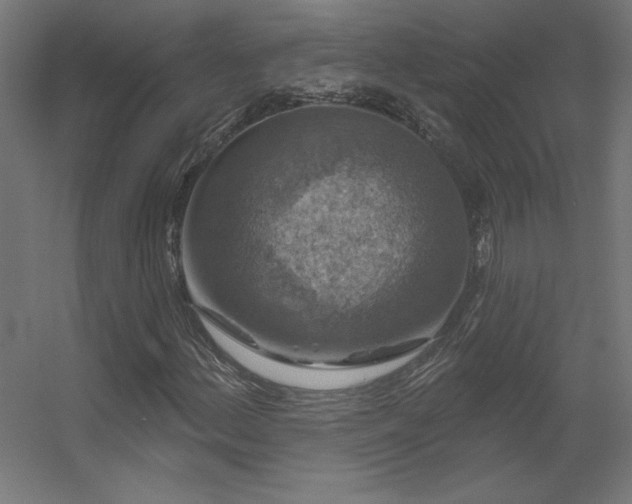 X0000056331156200509021622