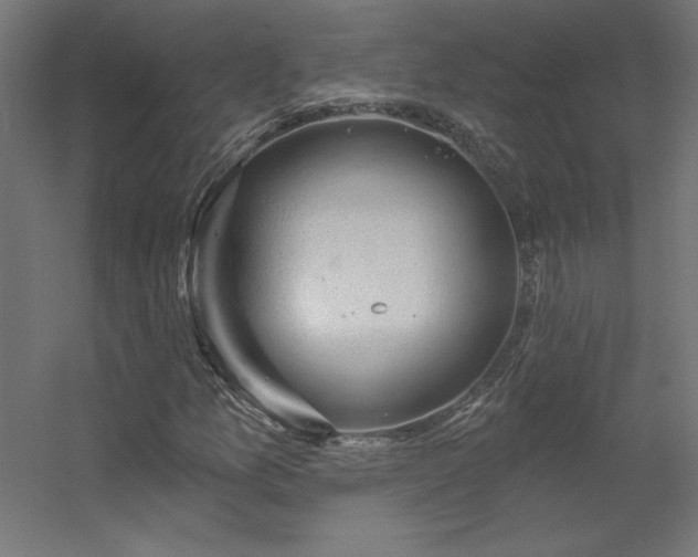 X0000056331157200509021622