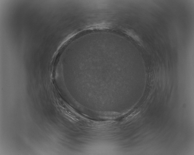 X0000056331160200509021622