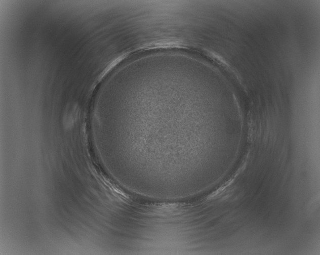 X0000056331162200509021622