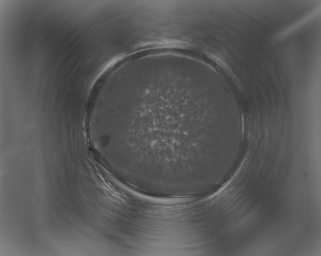 X0000056331163200509021622