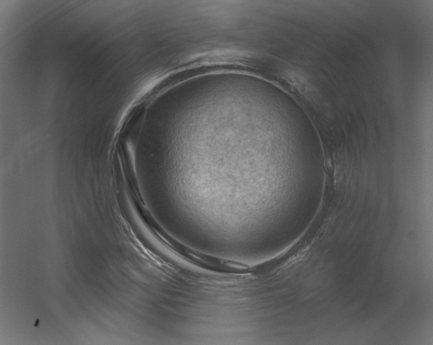 X0000056331164200509021622