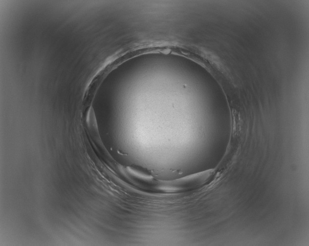 X0000056331165200509021622