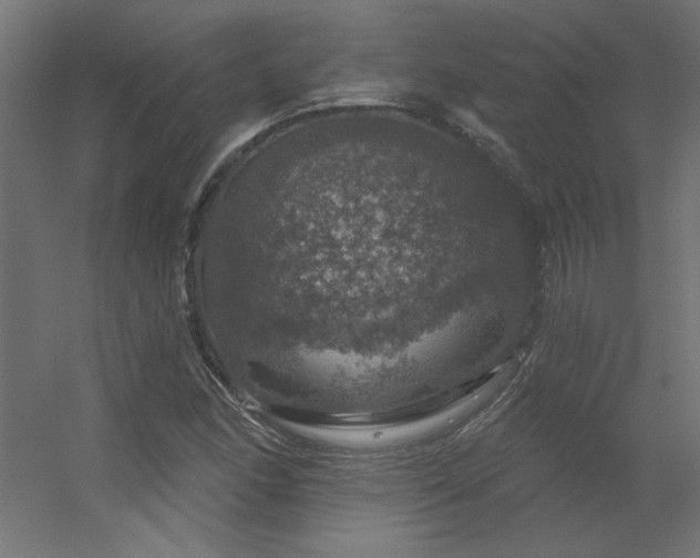 X0000056331166200509021622