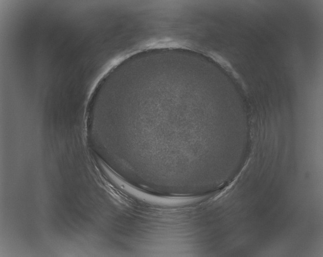 X0000056331167200509021622