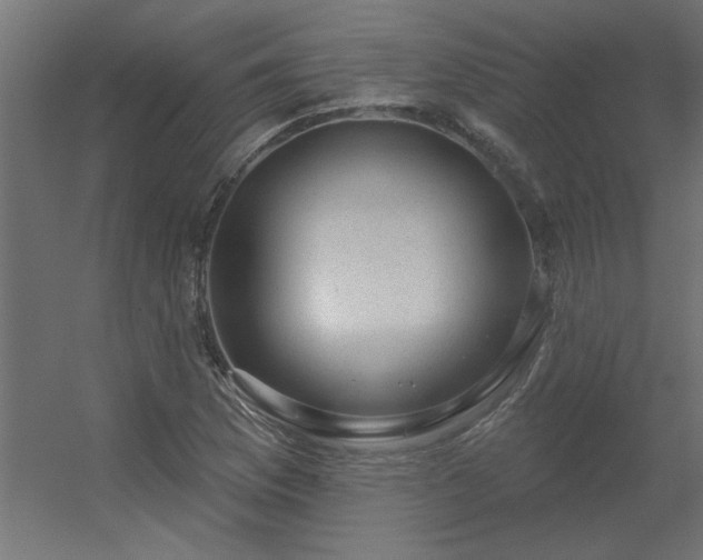 X0000056331169200509021622