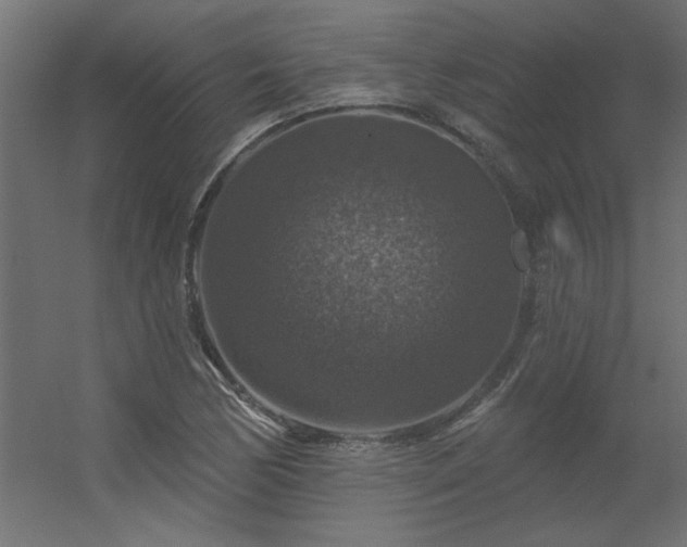 X0000056331170200509021621